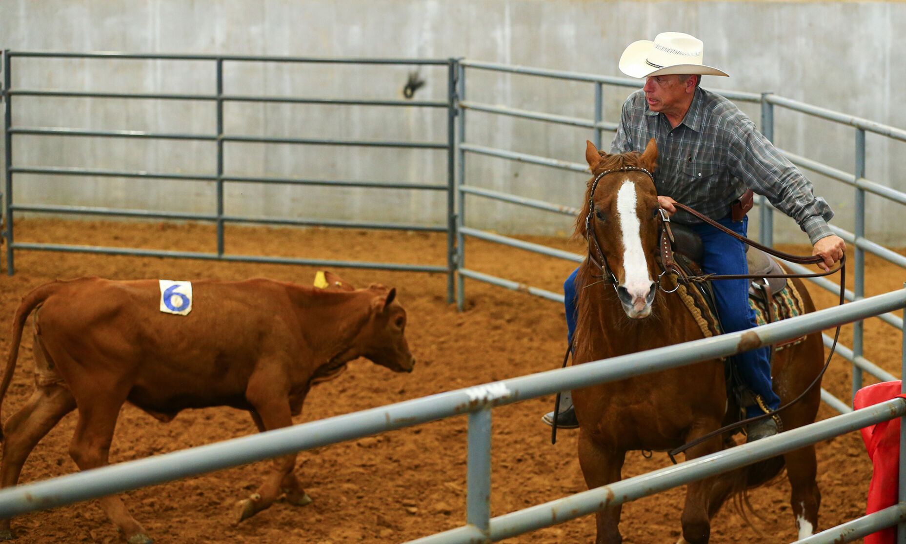 Ranch Sorting of America
